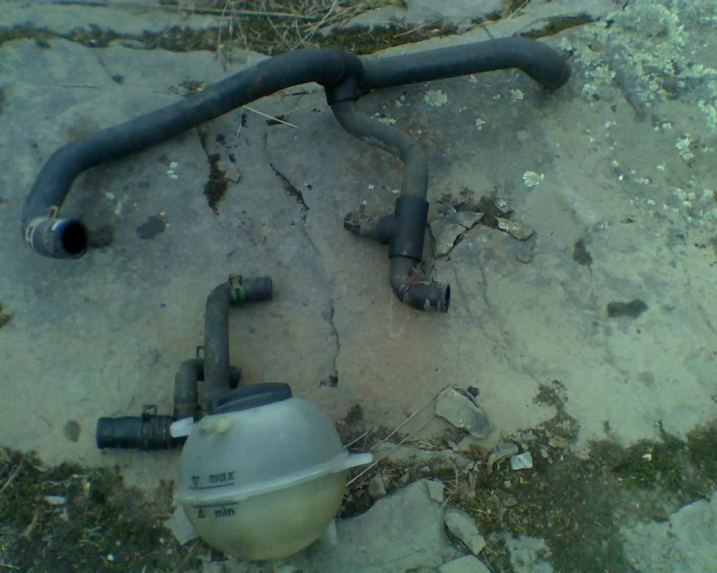 FS Coolant Bubble, Radiator Hoses. VW Vortex Volkswagen Forum